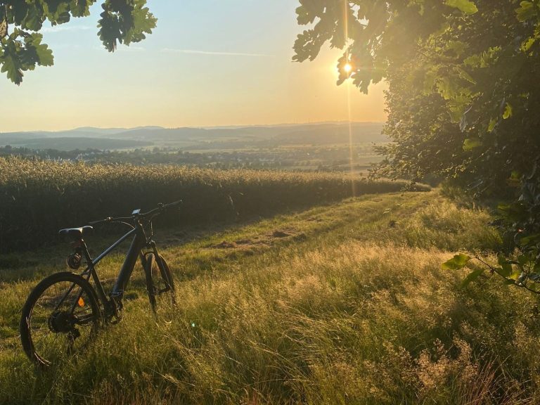Blick vom Waldsofa